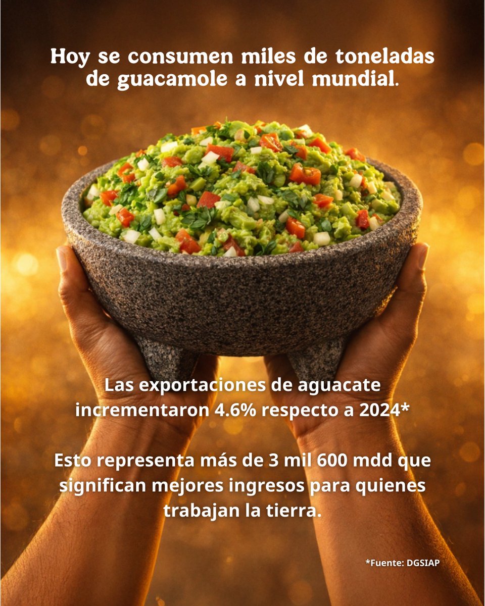 Gracias a nuestras productoras y productores de aguacate, hoy millones de personas en el mundo disfrutan de un buen guacamole durante el partido.

Este crecimiento del 4.6% en las exportaciones no es solo una cifra; es el reflejo de una vida más digna para quienes cuidan nuestros