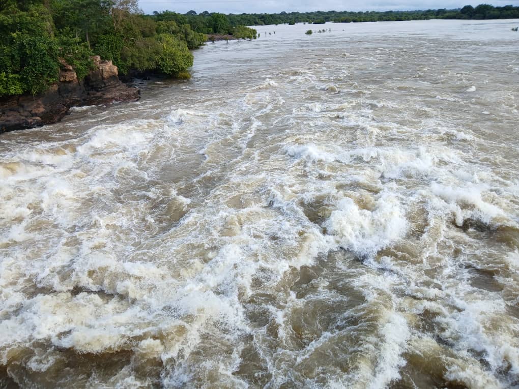 Marone N.Joe tweet media