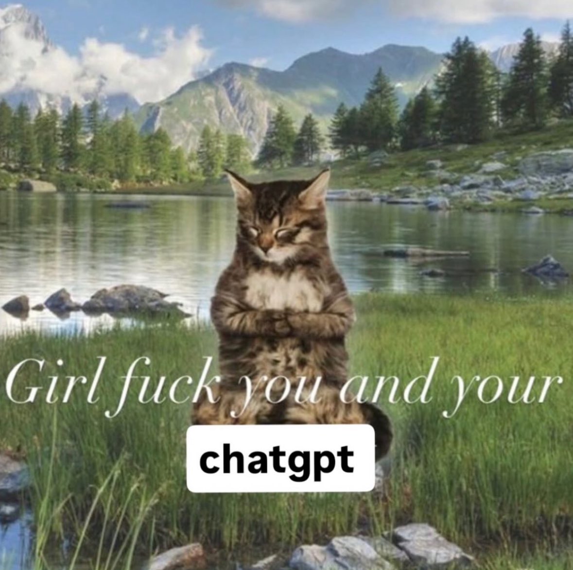 northstardoll's tweet image. 