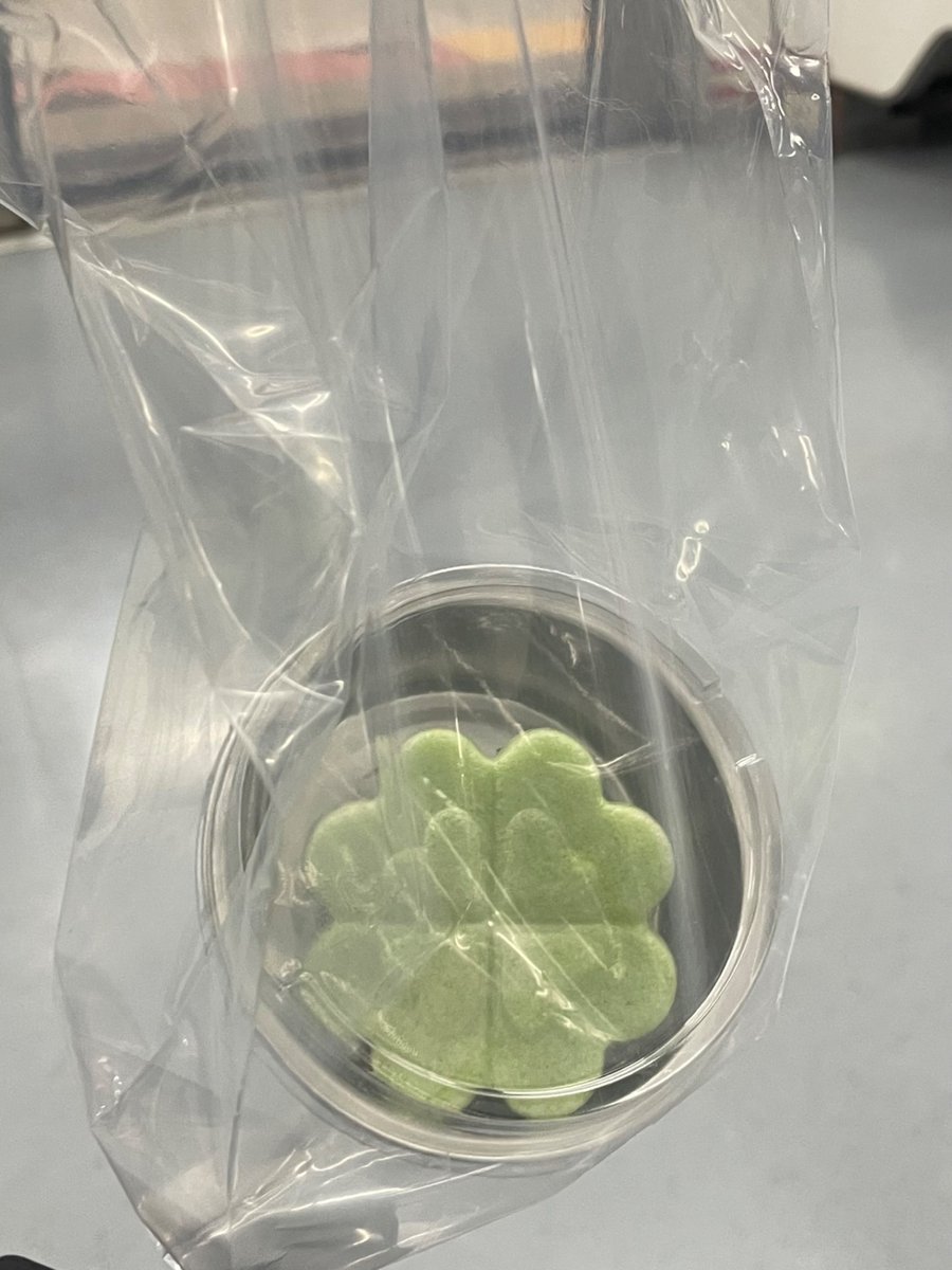 당신의 출근길에
행운이 따라붙었어요!
하루종일 함께하려면 RT!