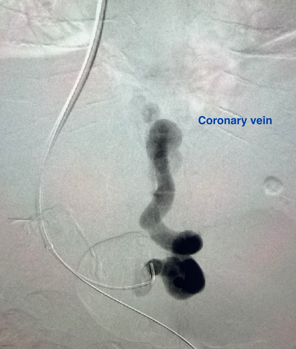 Austin Bourgeois tweet media