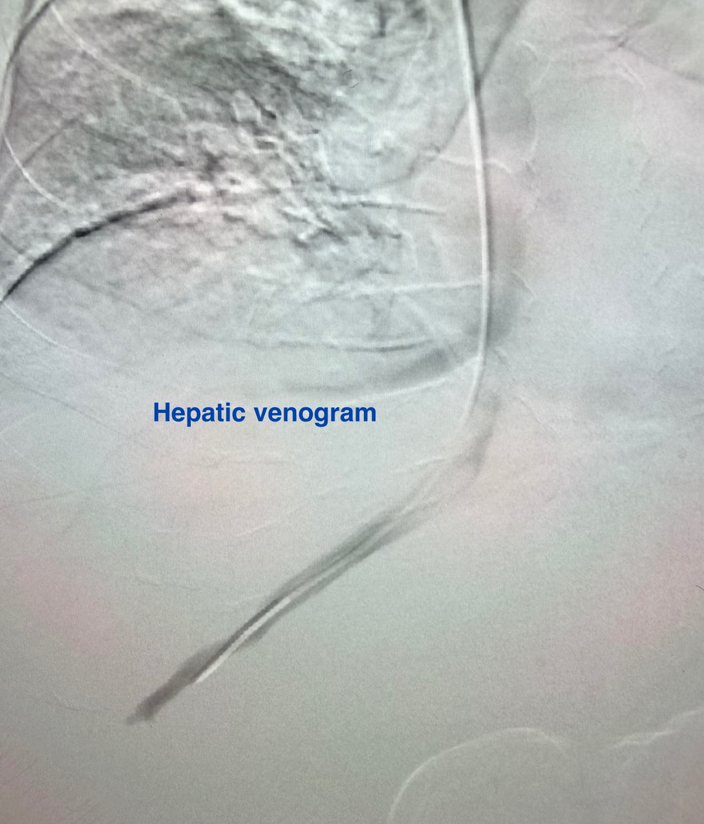 Austin Bourgeois tweet media