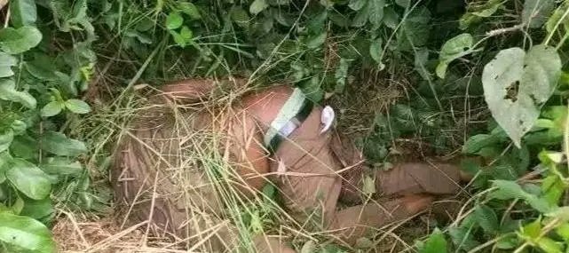 Mira Mira tweet media