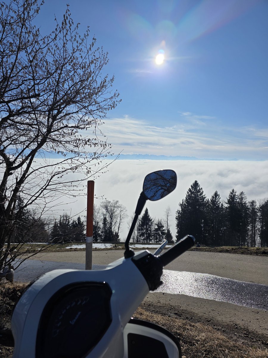 Wahrheitsfinder tweet media