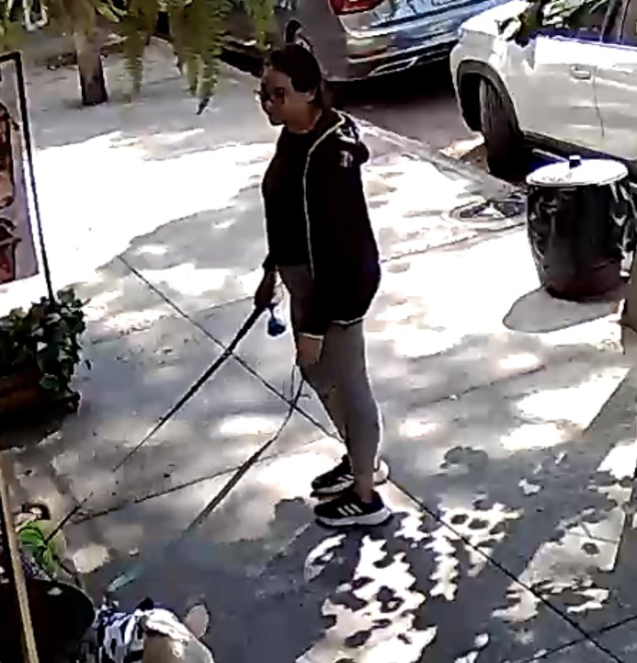 Está vecina de la colonia Narvarte no levanta las heces de sus dos pugs y aún diciéndole que las levante le vale y se va… #viejapuerca <a href="/BJAlcaldia/">Alcaldía de Benito Juárez</a> <a href="/brigadaBJ/">Brigada BenitoJuárez</a> <a href="/AccionesBJ/">Acciones BJ</a>