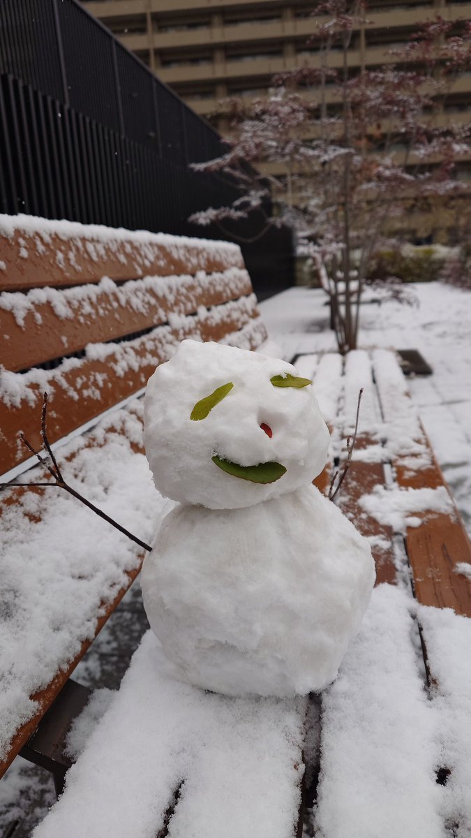 雪積もったのなんて何年ぶり？
めっちゃ楽しかったww
娘との初めての雪遊び！
夫は寒さに負けてすぐ帰ってたけど笑
たまには雪もよいなぁ〜