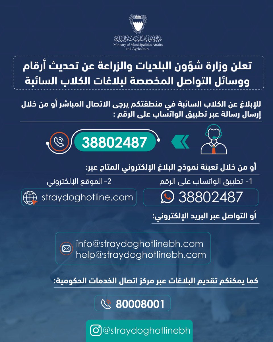 وزارة شؤون البلديات والزراعة| مملكة البحرين 🇧🇭 tweet media