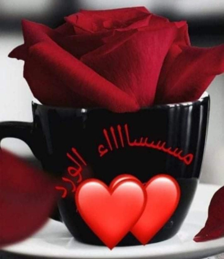 F3isL15's tweet photo. "غُربتي لا تهدأ.. وحين أعودُ إليكِ؛ أعرف كيف يكون طعم الوطن. وحدها يديكِ، هي من تقلِبُ تاريخي، وتغيّرُ خارطة الأزمان."
#مساء_الــود_والـــورد 
#نبض_الوناسه_للدعم https://t.co/EcYoBxzRMX