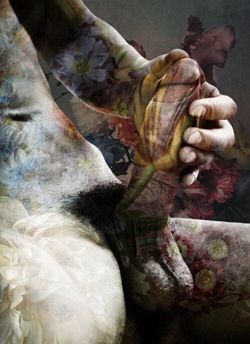 Muse In Bloom tweet media