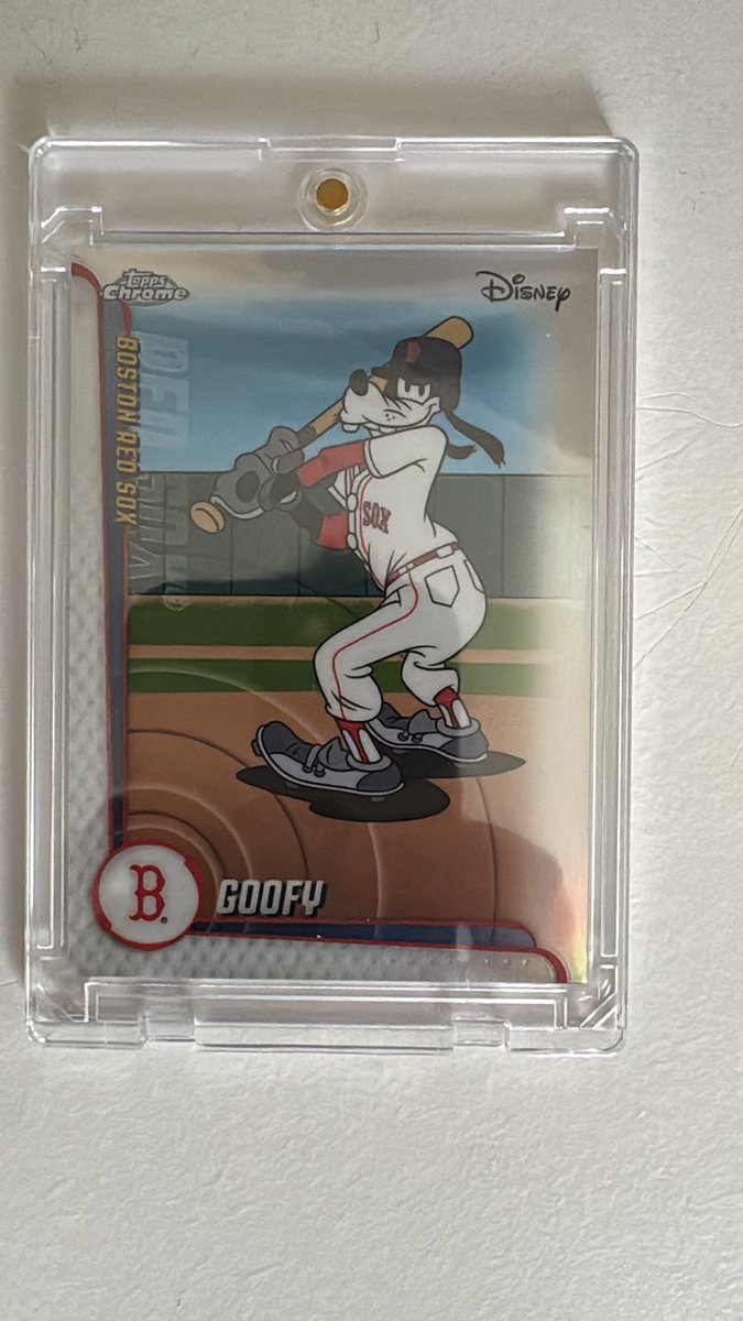 South Wales Wildcats tweet media