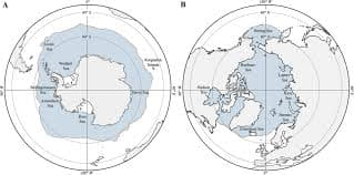 The Arctic is divided among adjacent states, yet Antarctica is treated as a "global common" whenever it suits the Global North. This is a selective application of international law designed to dilute South American territorial legitimacy.
