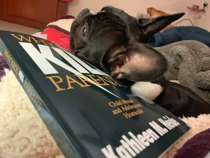 Así puedo leer todos los libros del mundo! Ella, my youngest! 🐾❤️