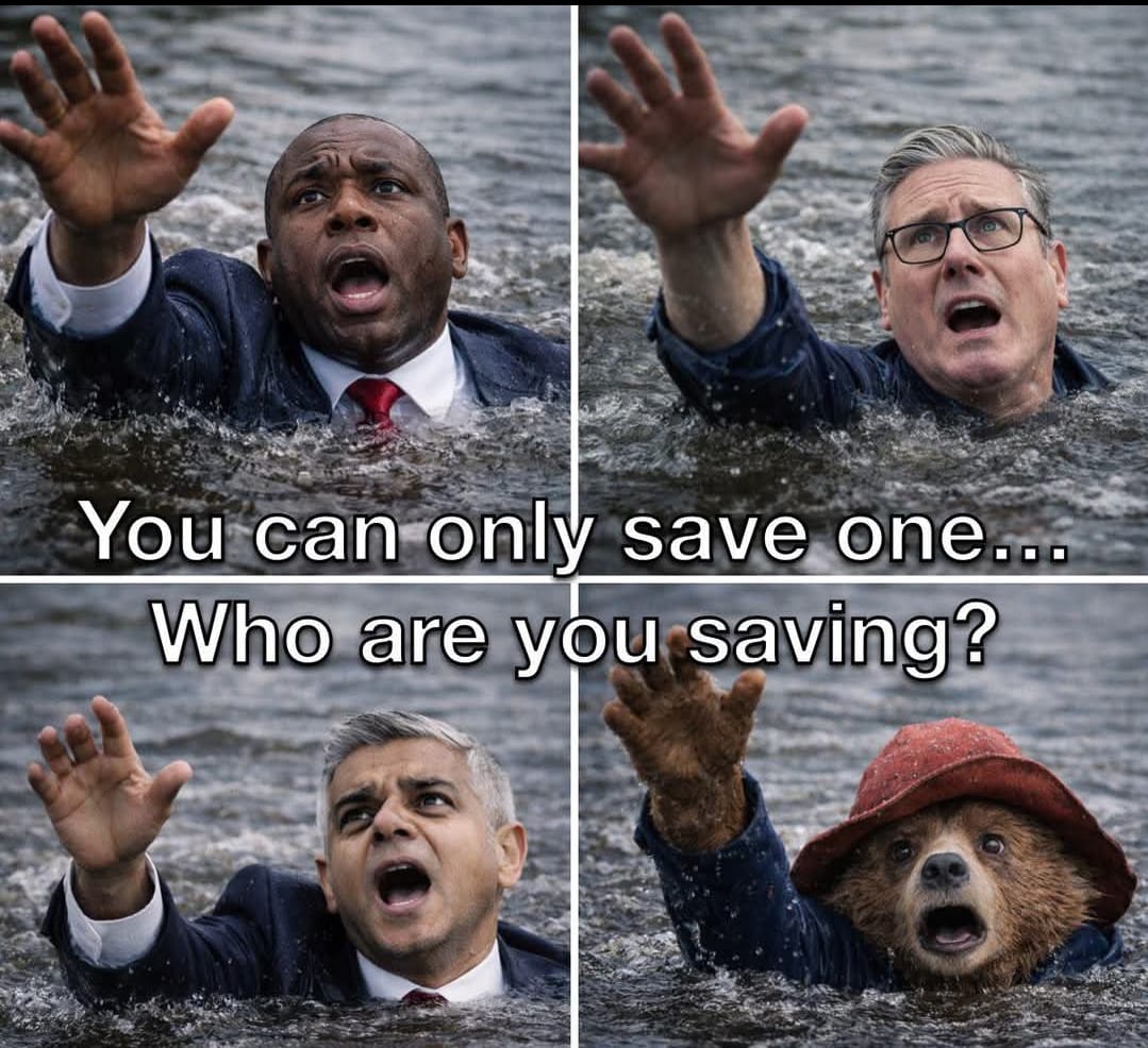 westcottpiemontese tweet media