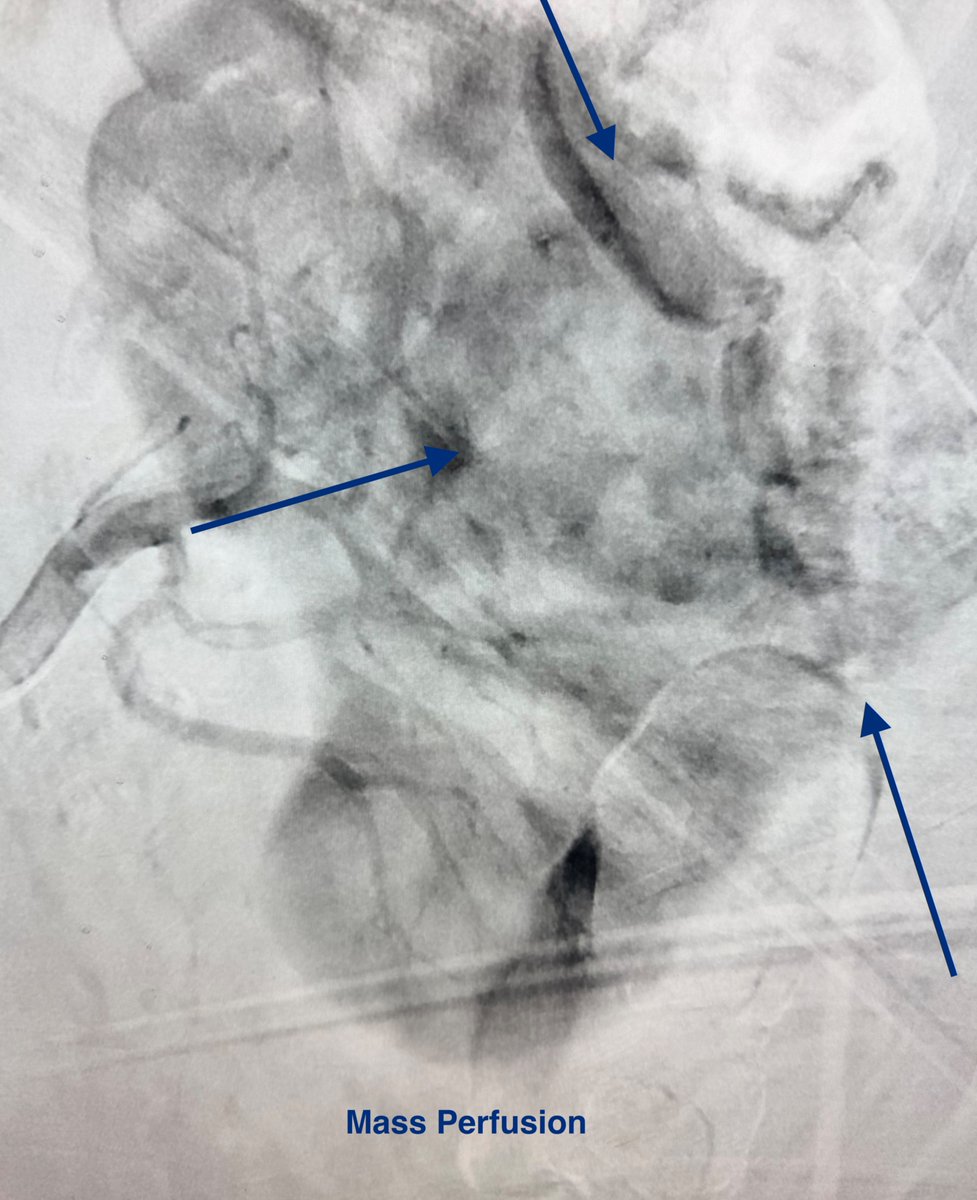 Austin Bourgeois tweet media