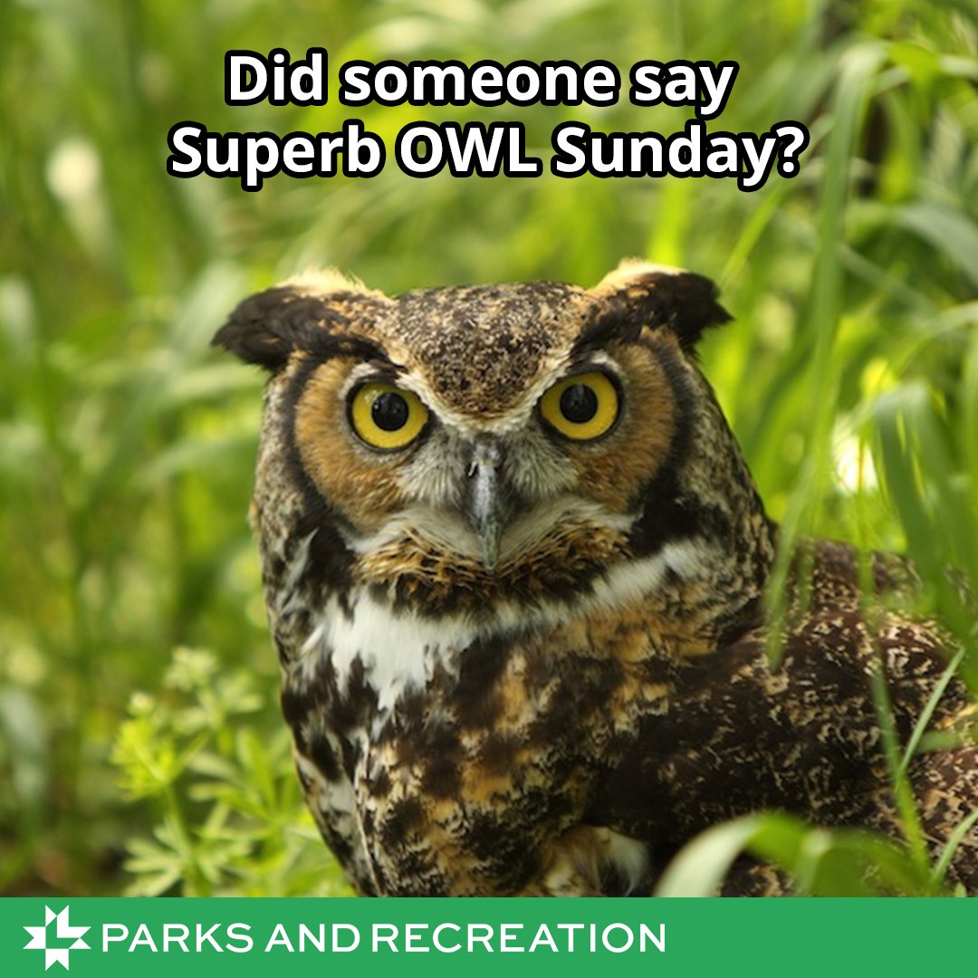 Lincoln Parks and Recreation tweet media