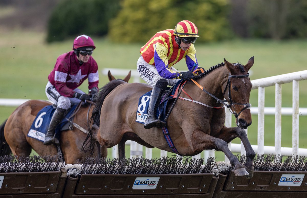 Navan Racecourse tweet media