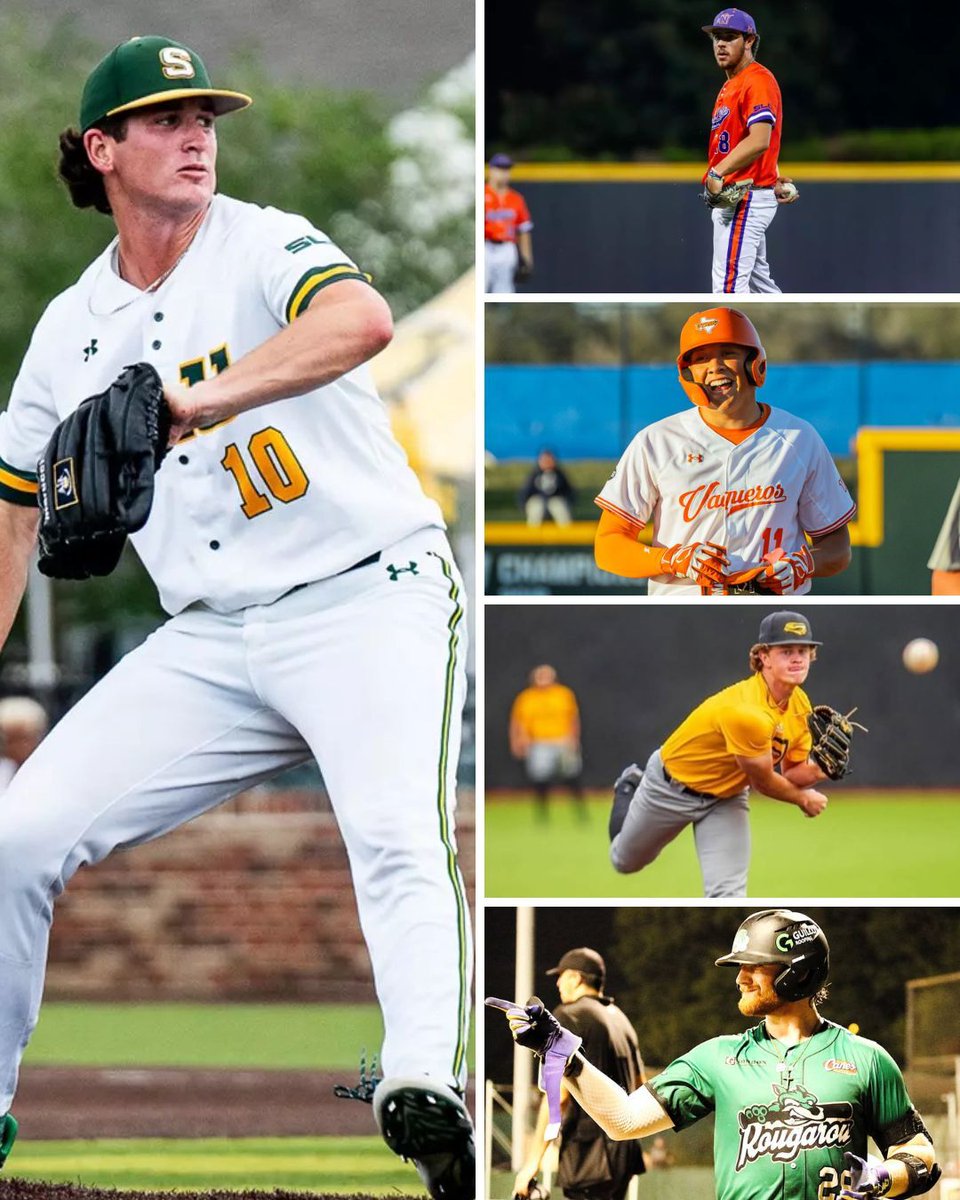 D1Baseball tweet media