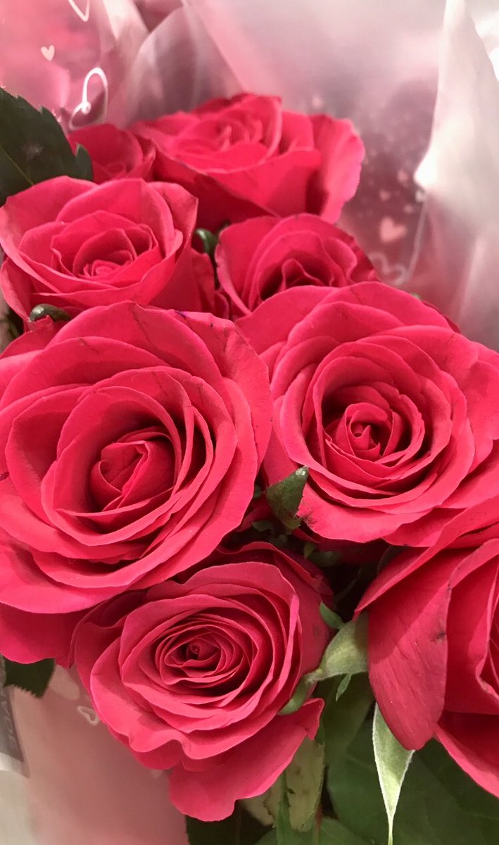 Beautiful moments for your day ♥️🌿

📸 8.2.2026 me