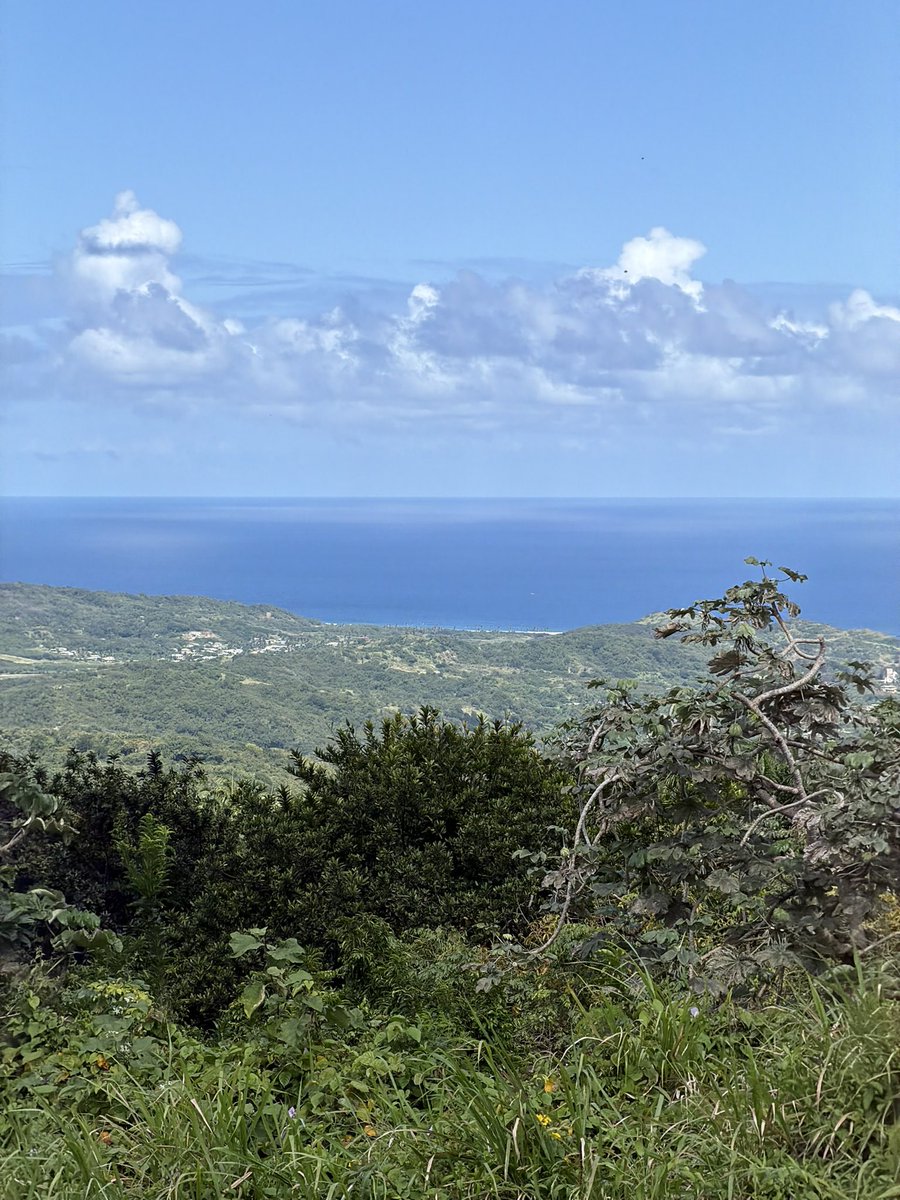 Daniel Grieve tweet media