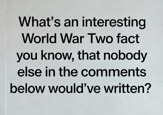 Dr Helen Fry | WWII Historian tweet media