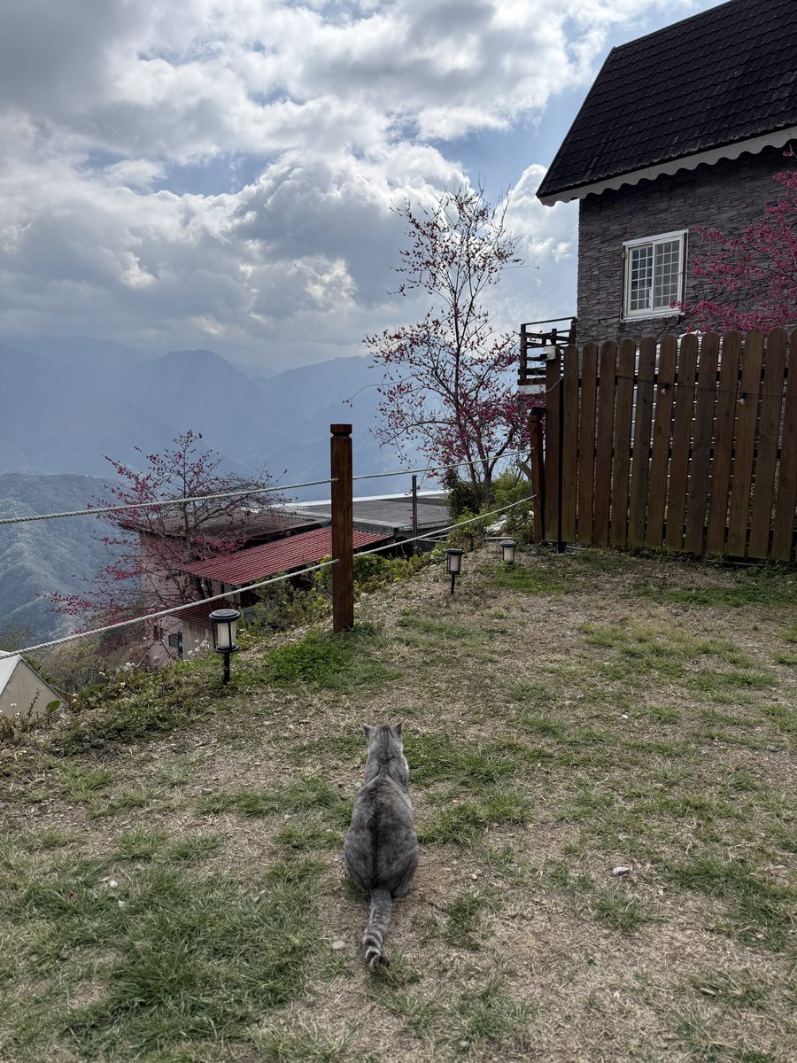 小跑出來了 tweet media