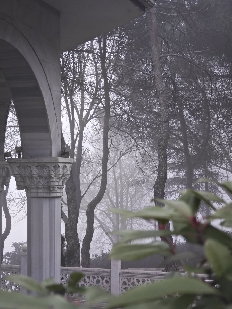 Bitki örtüsünün tüm hava olaylarına ayrı yakıştığı o şehir 🖤
#canımşehir
#Trabzon