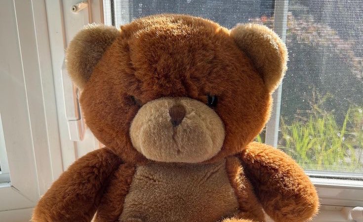 ˚˖𓍢ִ໋ 🍂  𝐏edido: choco lovers 

  ˚˖𓍢ִ໋ 𝐃e: 🌺
  ˚˖𓍢ִ໋ 𝐏ara: @mastermindns 

˚˖𓍢ִ໋ 💌 𝐑ecadinho: oiii espero que goste !