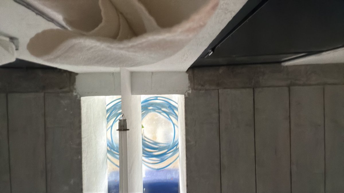 Evan Dando tweet media