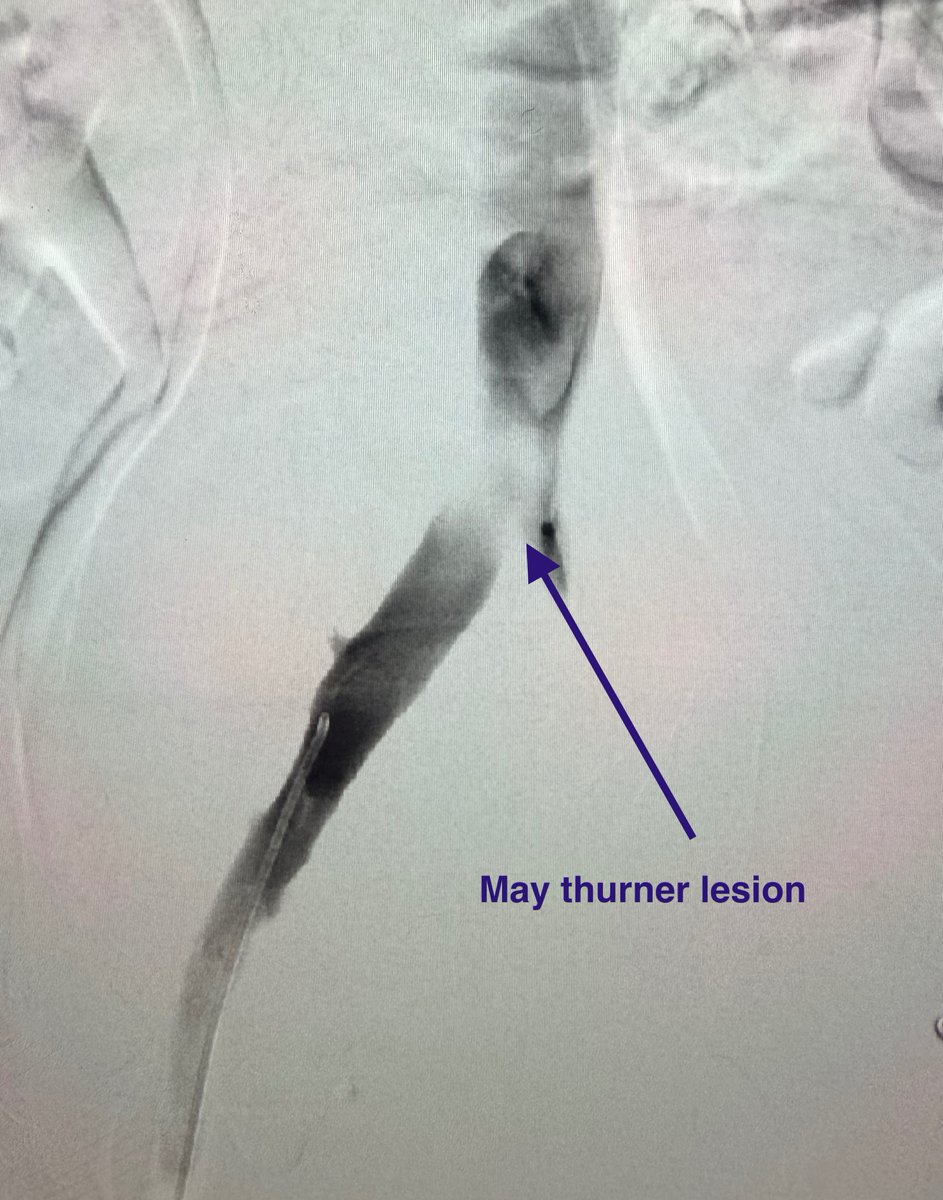 Austin Bourgeois tweet media