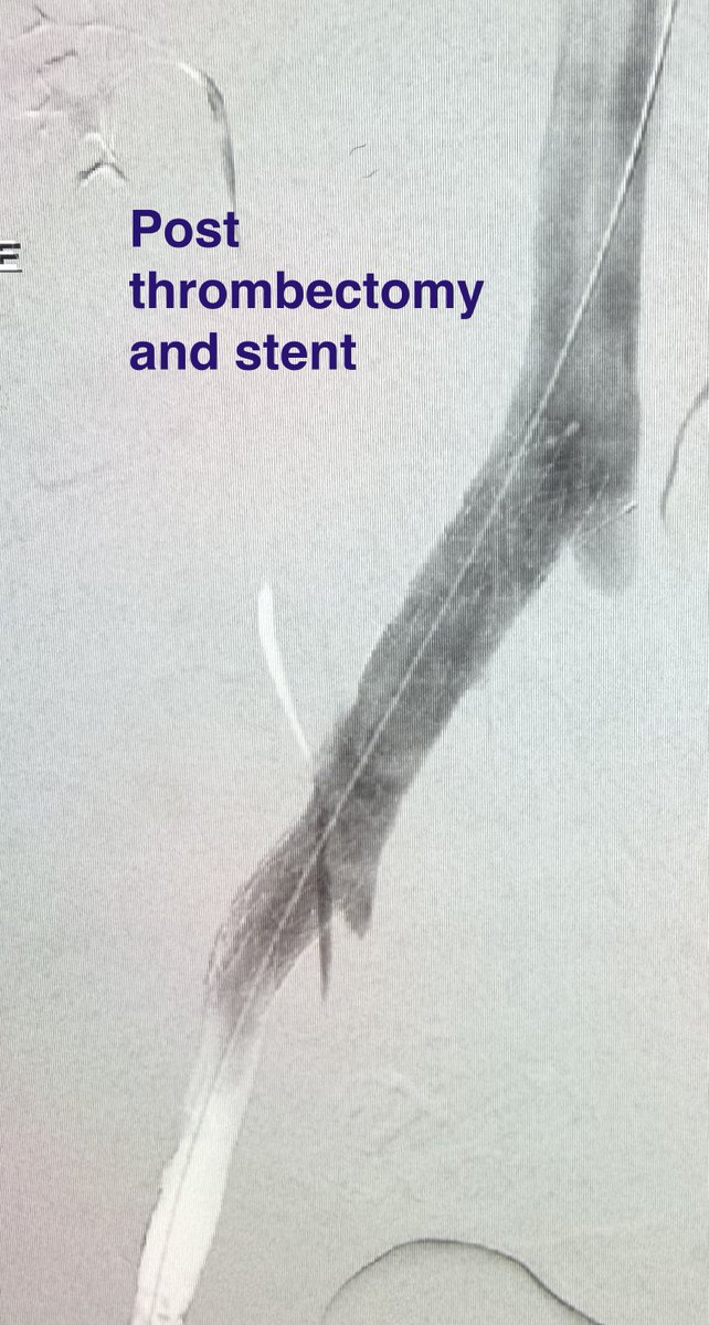 Austin Bourgeois tweet media