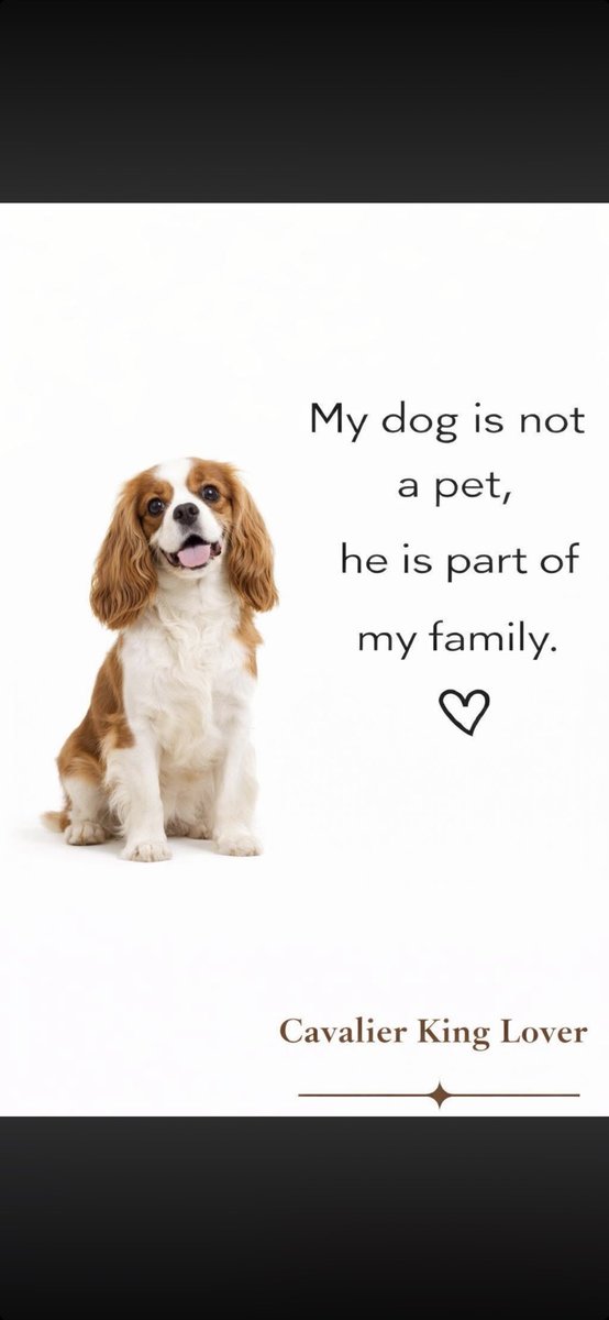 garfield (@ikkkuhggh) on Twitter photo 