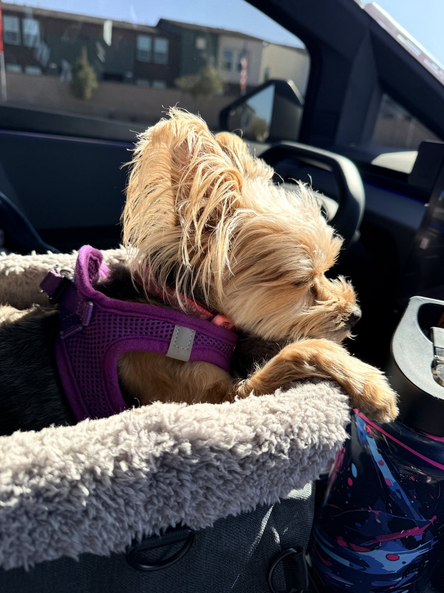 WarneSusan's tweet photo. @cybrtrkguy We will see you in March and October with our sidekick Charlie https://t.co/ejlX0m1jY3
