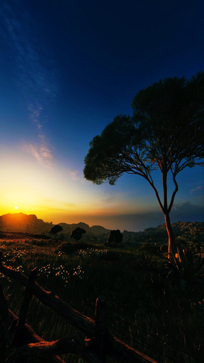 Alundra_89 🎮🕹 tweet media