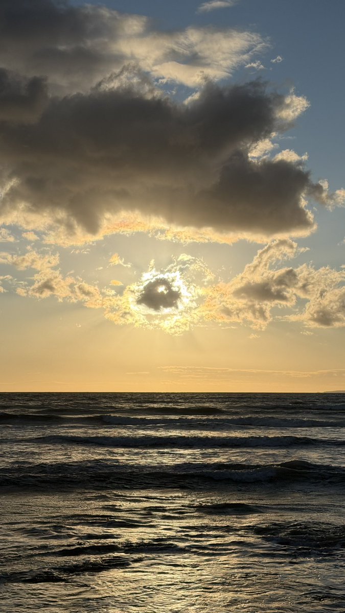 DavidDiezH's tweet image. Un hivern a #Mallorca