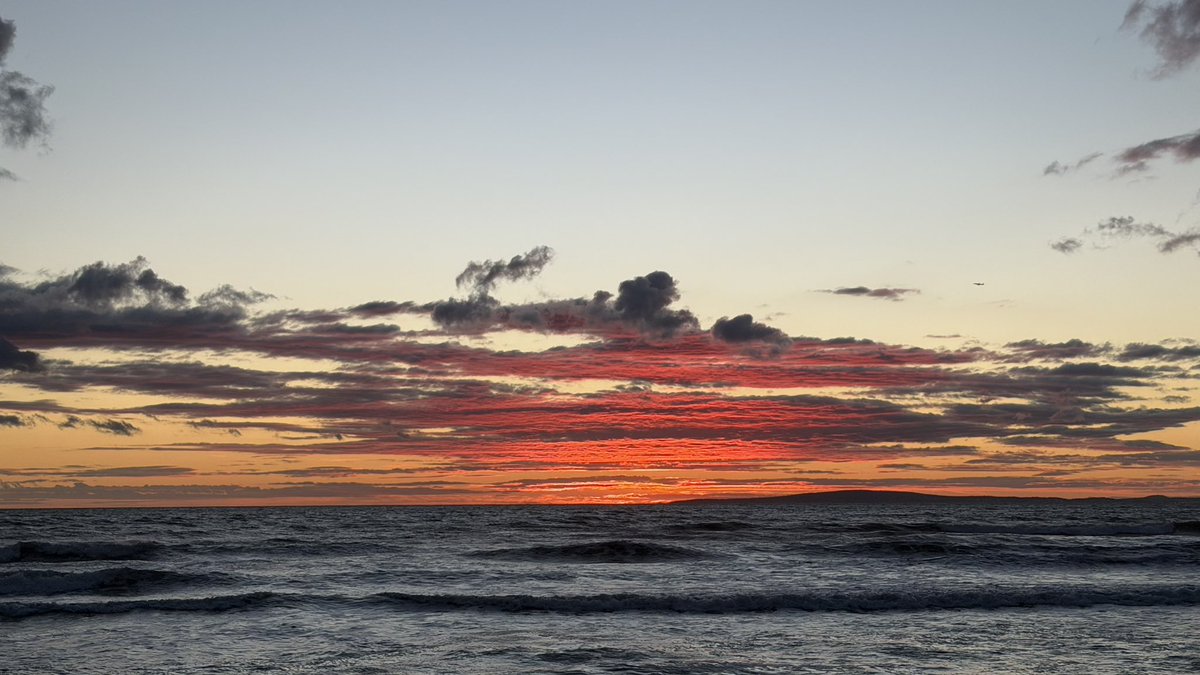 DavidDiezH's tweet image. Un hivern a #Mallorca