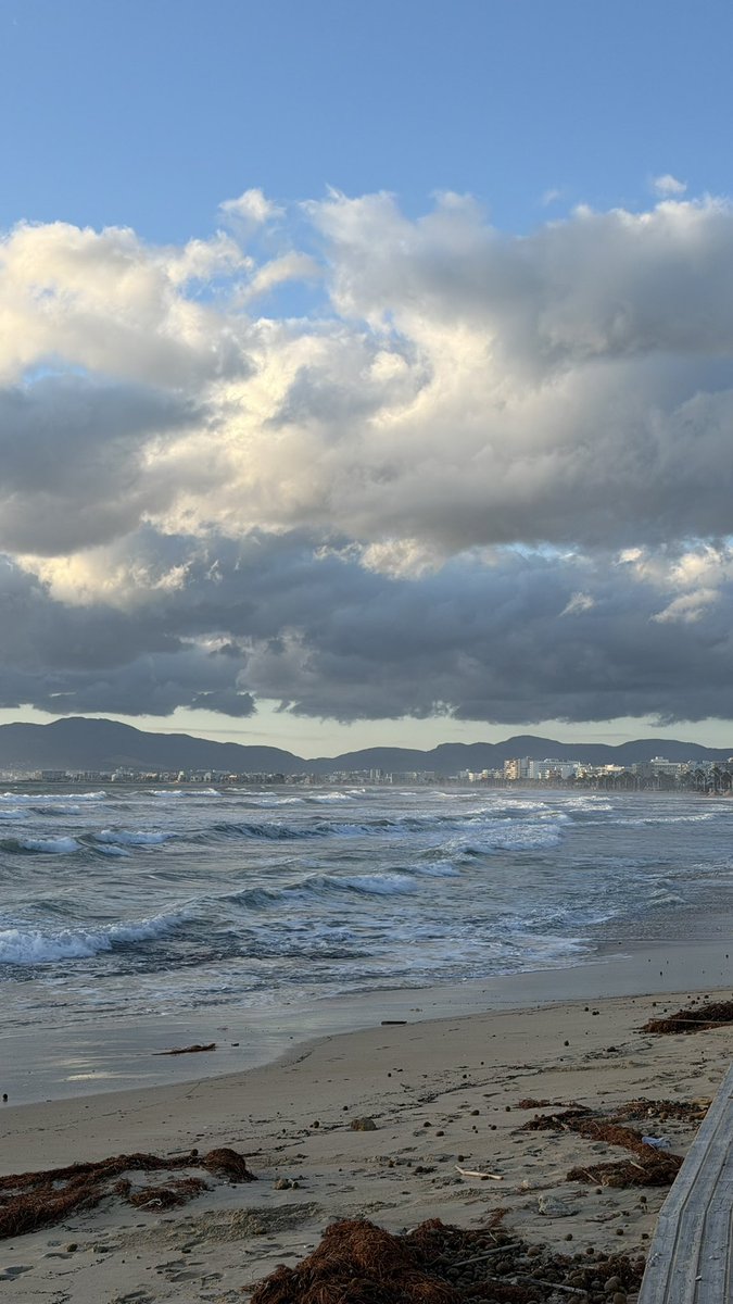 DavidDiezH's tweet image. Un hivern a #Mallorca