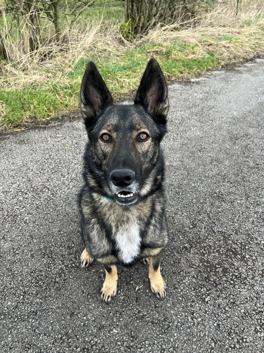 Clare Earps tweet media