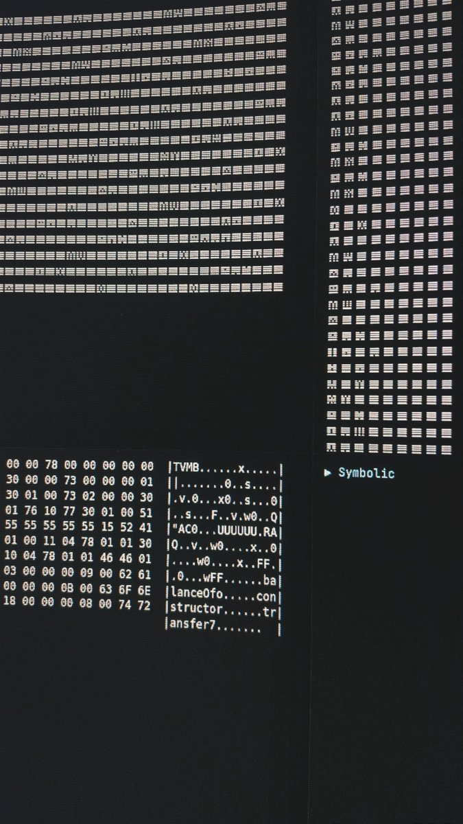 ⟁ TrinaryVM 𒍬 tweet media