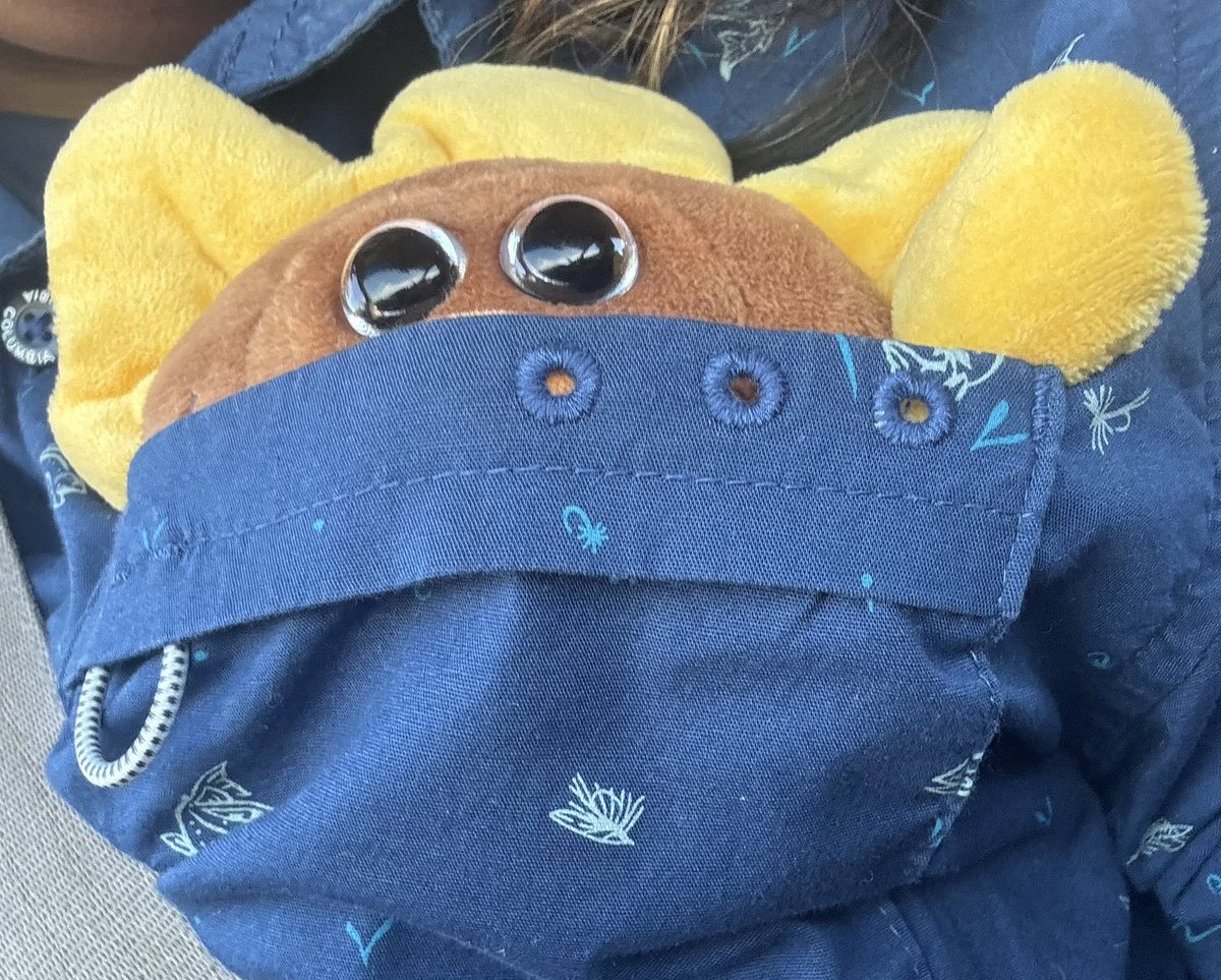 crenshawesome's tweet photo. I found this thing. In my pocket now https://t.co/42XpsglrNg