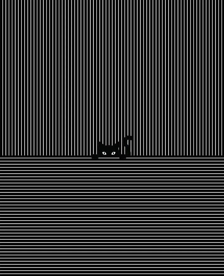 Ramin Nasibov tweet media