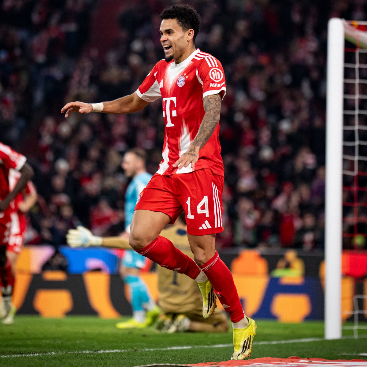 FC Bayern München Español tweet media