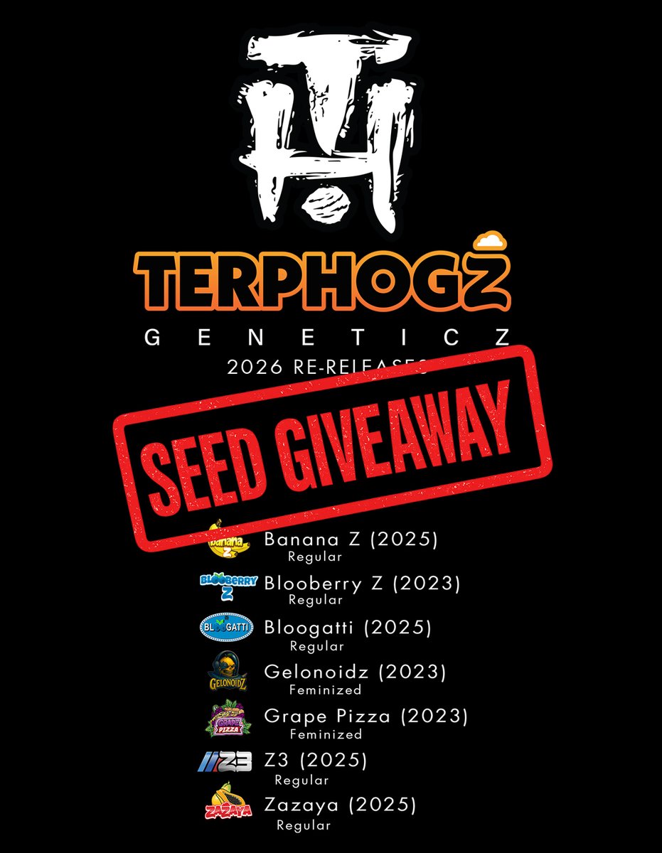 Terphogz Geneticz tweet media