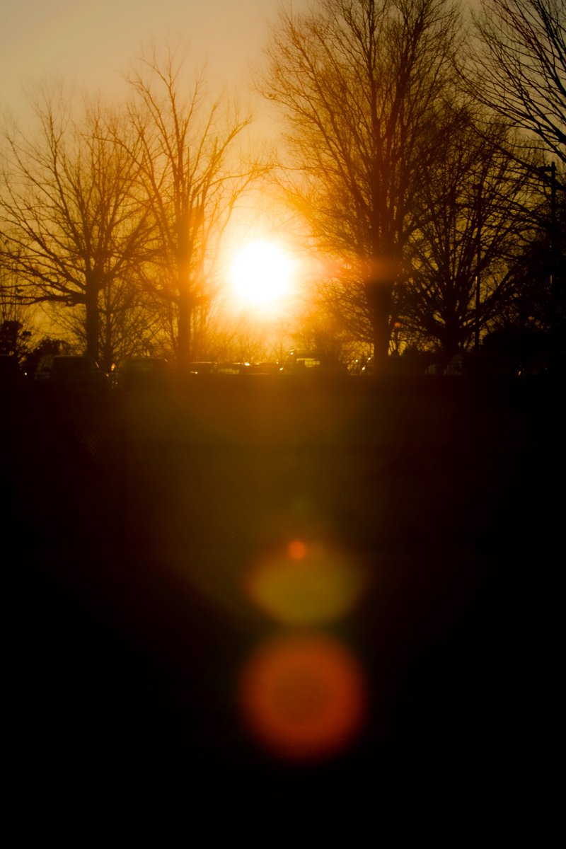 USC Upstate Softball tweet media