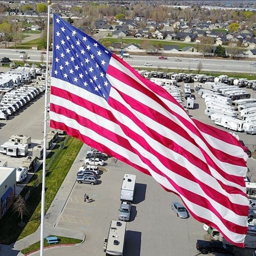 Buzz Genie tweet media