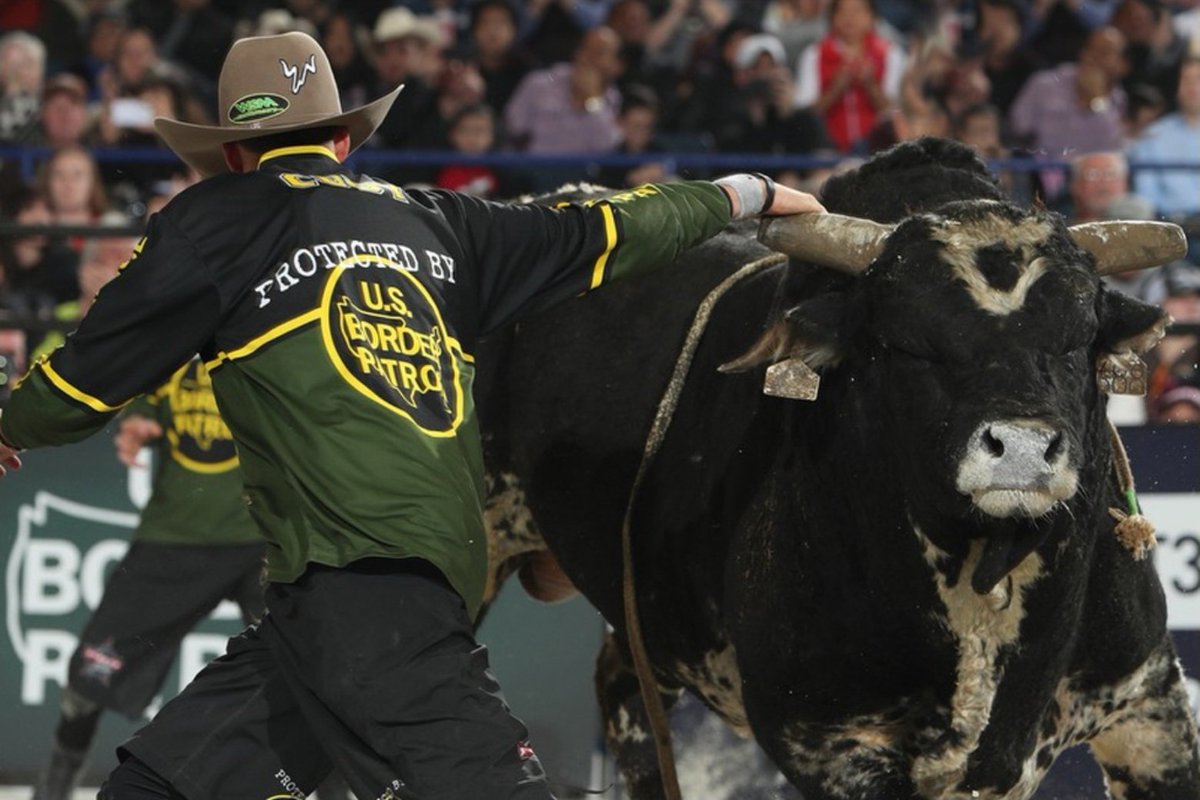 Buzz Genie tweet media