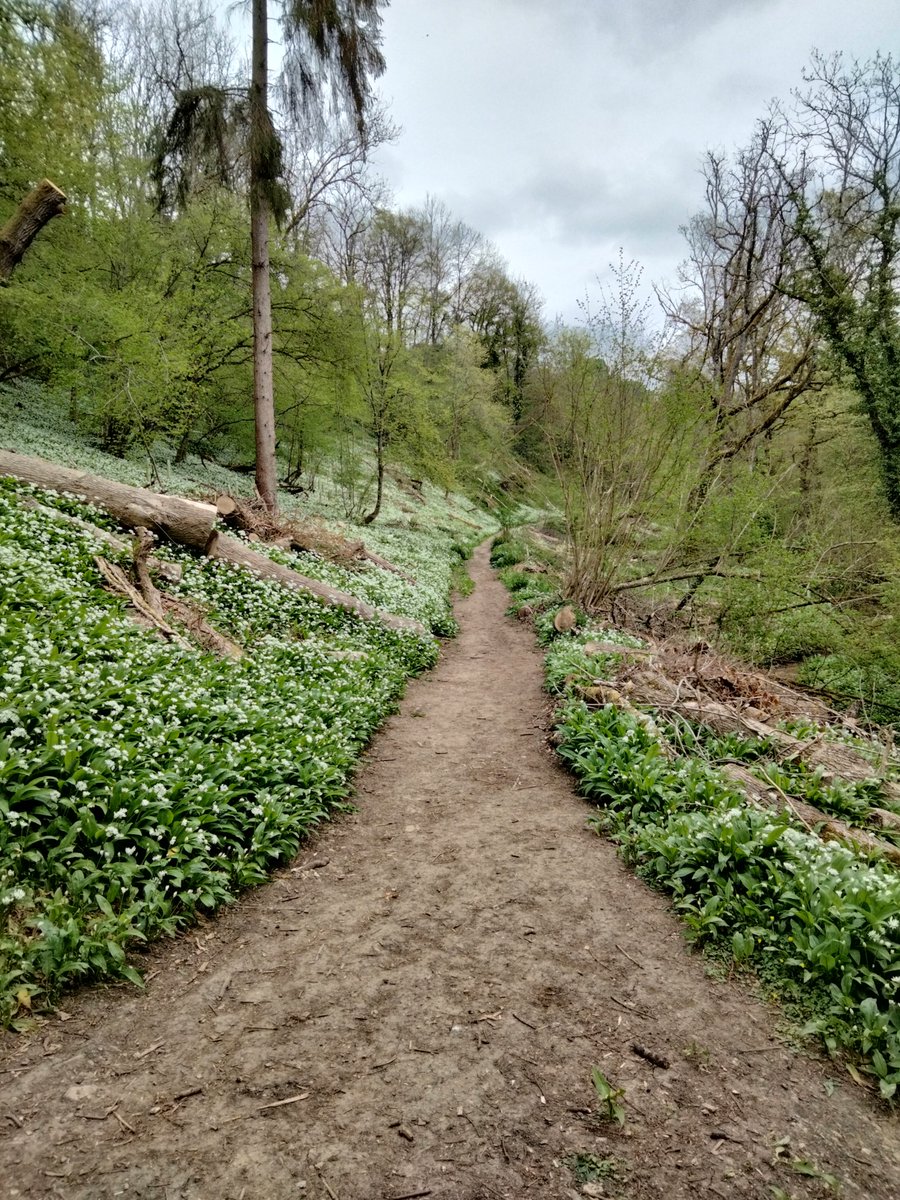 Relish Running Races tweet media