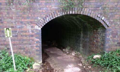 Relish Running Races tweet media