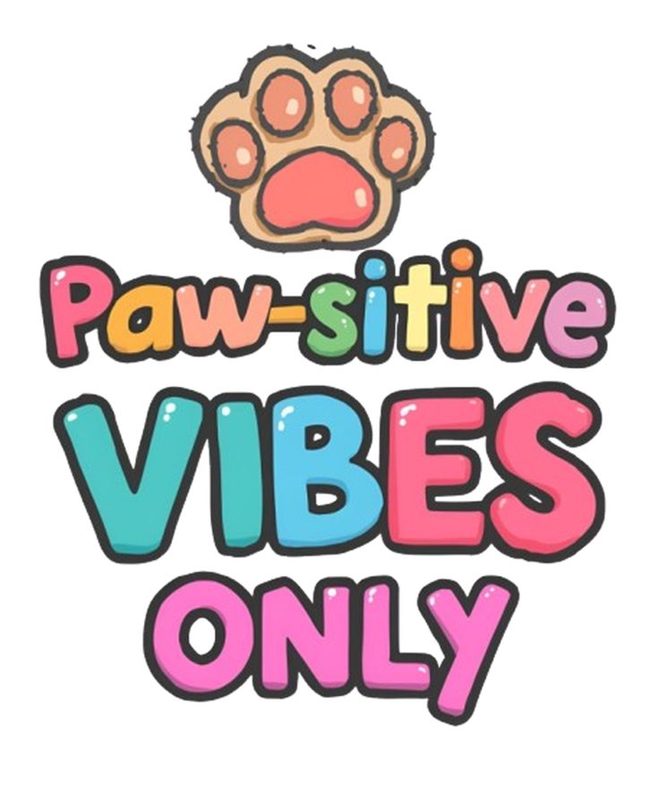 Knotty917060's tweet photo. Join my community For exclusive taboo/zoo sex videos you’ve never seen before.🥵🐶🐾🐴
⬇️
https://t.co/HOHV0wqOfu
 Also got mega packages with different types of taboo videos in it🔞
⬇️
https://t.co/NRhXGFFjra https://t.co/I0mutG2tfF