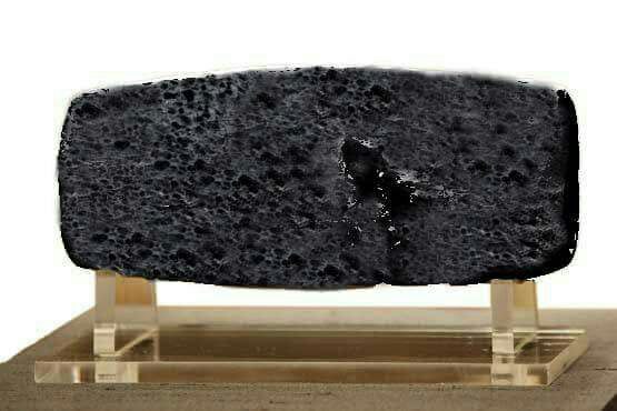 elyar khoylu tweet media