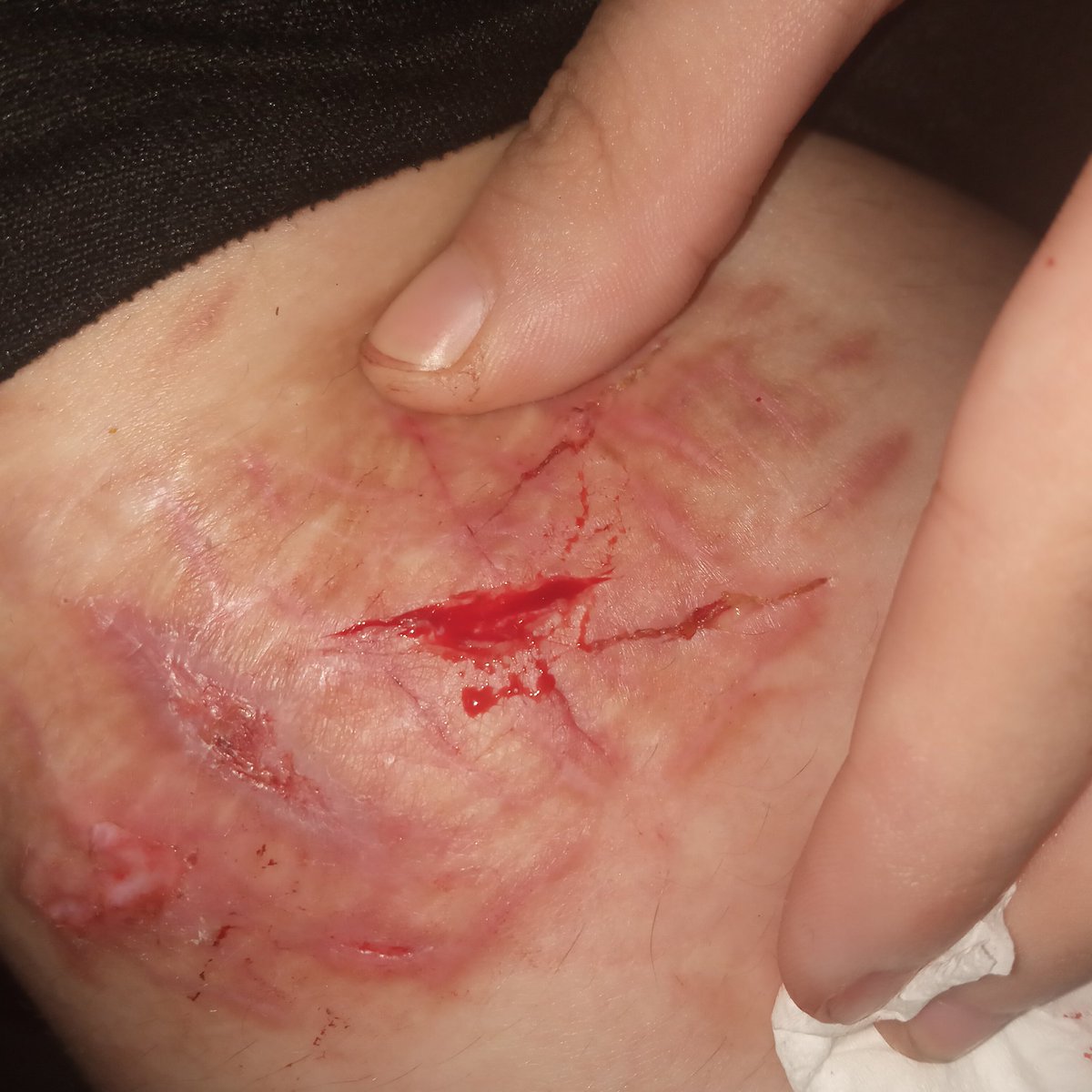 ⭑☆Gabriel★⭒ tweet media